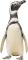 Pingouin3