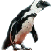Pingouin5